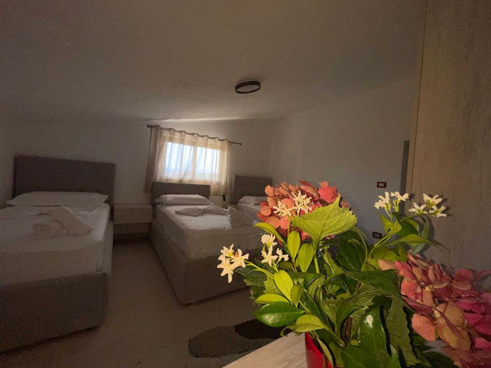 Prela'S Rooms شكودر المظهر الخارجي الصورة